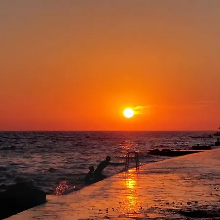 Taz * Zadar