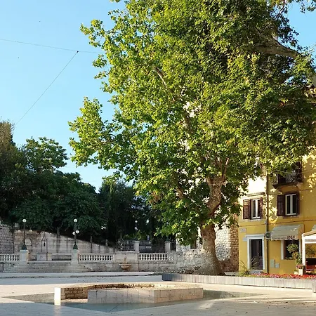 Taz Apartamento *
